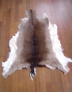 Hertenhuiden en Rendiervellen