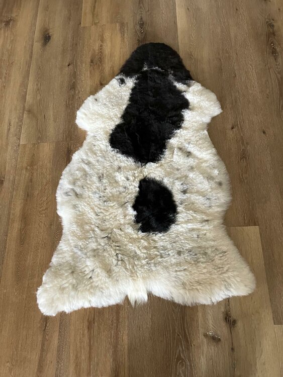 Kortharig schapenvacht &ndash; cr&egrave;me, donkerbruin &amp; zwart &ndash; 120 x 78 cm
