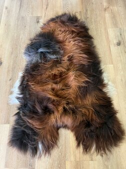 Supermooi langharig IJslands schapenvacht in koper, kastanje en wit 145x96 XXXL