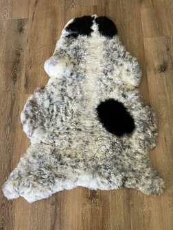 Kortharig dalmati&euml;r schapenvacht wit met zwarte vlekken een uniek exemplaar 112x73