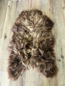 Goudblond bruine IJslander een kleur die je weinig tegenkomt met prachtige lange haren 132x80 