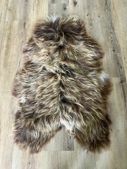 Supergrote hazelnoot beige IJslander met prachtige lange blonde lokken en hier en daar een wit lokje XXXL 142x85