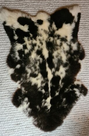 Een echte dalmatiër, zacht schapenvacht crème met zwart 128x87 crème/zwart