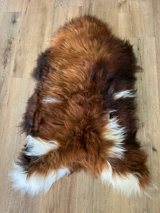 Natuurlijk langharig IJslands schapenvacht in koper, kastanje en wit 122x80