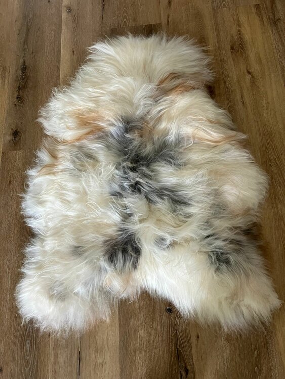 Natuurlijke multicolor IJslander met zeer mooie donkere inkijk in de kleur crème, wit grijs, beige en taupe XXXL 130x94