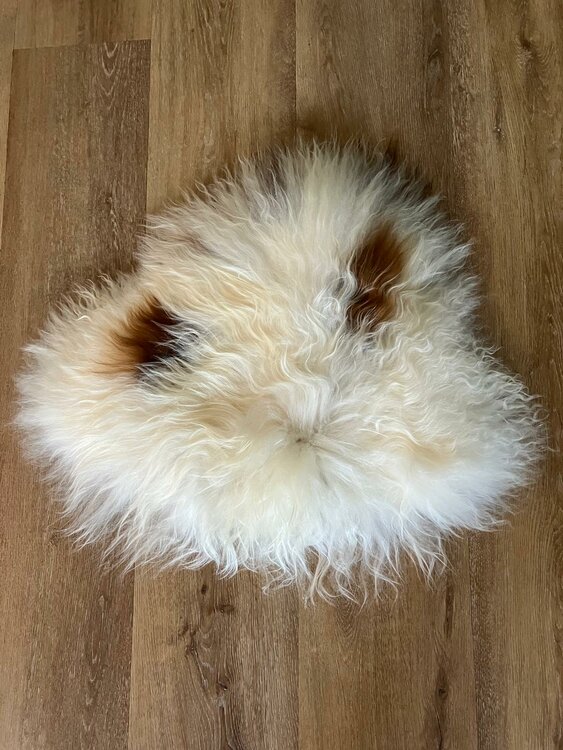 Klein IJslands langharig schapenvachtje, creme rood bruin 60x68