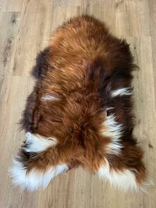 Natuurlijk langharig IJslands schapenvacht in koper, kastanje en wit 122x80