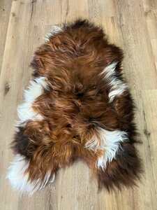 Boerenbonte IJslander langharig roestbruin met wit XXL 132X82