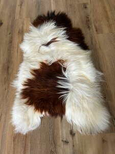 Grote IJslander in de kleuren crème wit en roodbruin een eyecatcher in een XXXL formaat 143x85