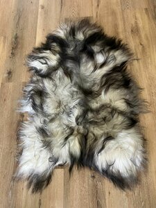 Langharige IJslander in de kleur wit met zwarte lokken groot formaat XXL 135x85